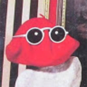 Meet your Posher, Yoshi